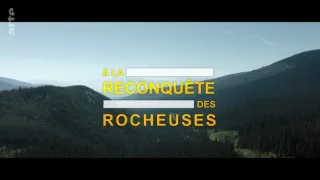 Znovuzrozená divočina Skalnatých hor: Od Yellowstonu k Yukonu (1/4)