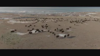 Znovuzrozená divočina Skalnatých hor: Od Yellowstonu k Yukonu (1/4)