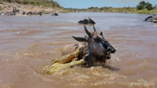 Zázračná planeta: Serengeti III (4/6)