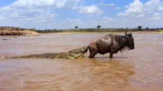 Zázračná planeta: Serengeti III (4/6)