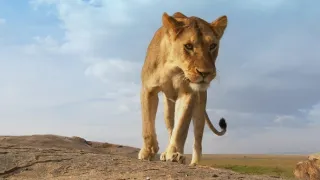 Zázračná planeta: Serengeti III (4/6)