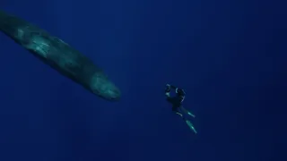 Pod hladinu za morskými legendami (2/2)