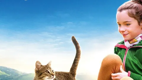 Život mačiatka
