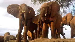 Kdysi dávno v Tsavu (2/2)