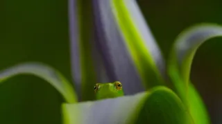 Kdysi dávno v Tsavu (2/2)