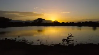 Kdysi dávno v Tsavu (2/2)