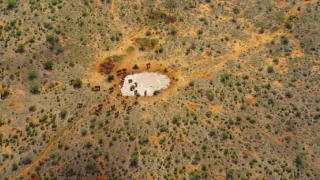 Kdysi dávno v Tsavu (2/2)