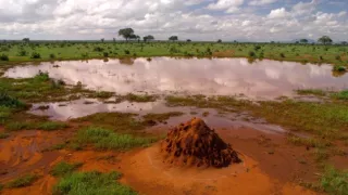 Kdysi dávno v Tsavu (2/2)