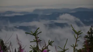 Na cestě po Ostravsku