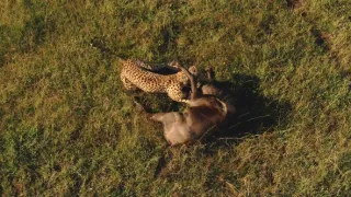 Zázračná planeta: Serengeti III (4/6)