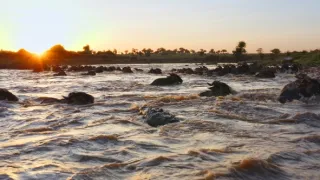 Zázračná planeta: Serengeti III (4/6)