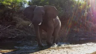 Zázračná planeta: Serengeti III (4/6)