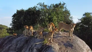 Zázračná planeta: Serengeti III (4/6)