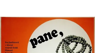 Pane, vy jste vdova