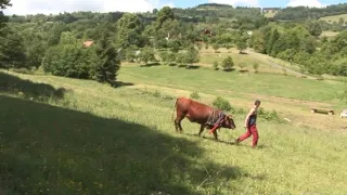 Na cestě po Kopanicích