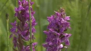 Na cestě po Kopanicích