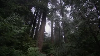 Kamera na cestách: Najzaujímavejšie mestá na svete (4/6)