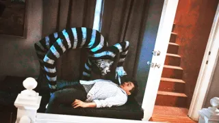 Stíny z podkroví