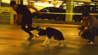 Brutální biologie (3)