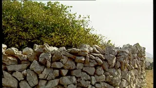 Chorvatské národní parky