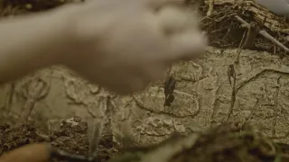 Největší apokalypsy dějin