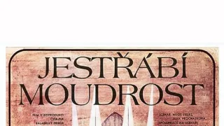 Jestřábí moudrost