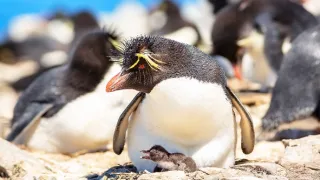 Dokonalá planéta (4/5)