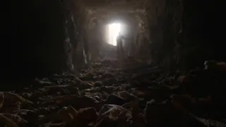 Kronika starověkého Egypta