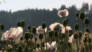 Na cestě po České Kanadě