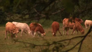 Na cestě po České Kanadě