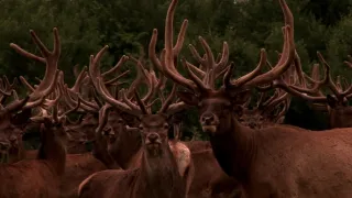 Na cestě po České Kanadě