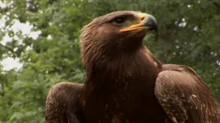 Na cestě po České Kanadě