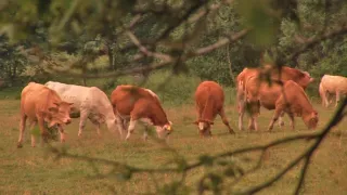 Na cestě po České Kanadě