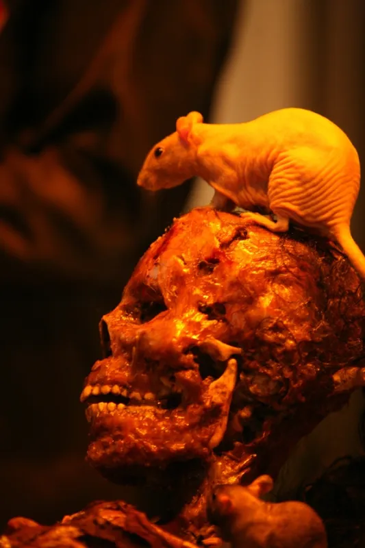Kosti (Bones VI. HD - The Couple in the Cave), 2010 - fotogaléria