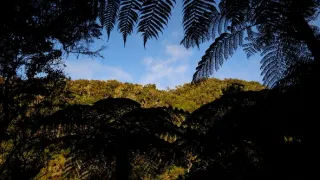 Ostrov Réunion: Hřiště evoluce