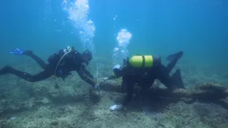 Piráti: Skutečný příběh