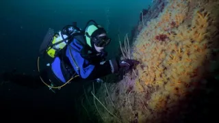 Do sveta so Celine Cousteau (1/2)