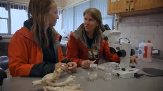 Do sveta so Celine Cousteau (1/2)