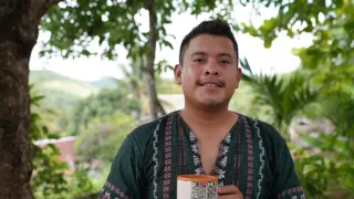 Pád mayských králů