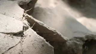 Pád mayských králů