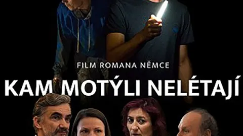 Kam motýle nelietajú
