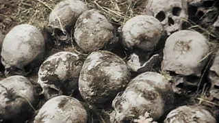 Nejdůležitější události 2. světové války v barvě