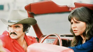 Polda a bandita