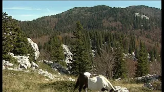 Chorvatské národní parky