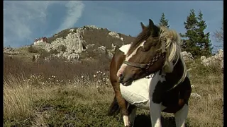 Chorvatské národní parky