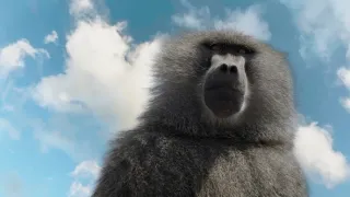 Zázračná planeta: Serengeti III (6/6)