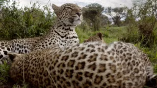 Zázračná planeta: Serengeti III (6/6)