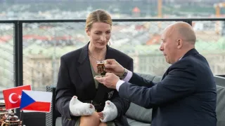 Ruce v záruce