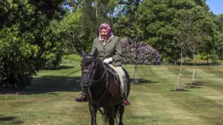 Všichni královnini koně (1/2)