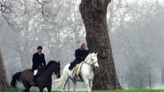 Všichni královnini koně (1/2)